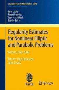 bokomslag Regularity Estimates for Nonlinear Elliptic and Parabolic Problems