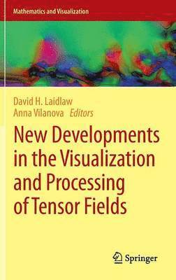 bokomslag New Developments in the Visualization and Processing of Tensor Fields