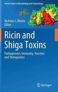 bokomslag Ricin and Shiga Toxins