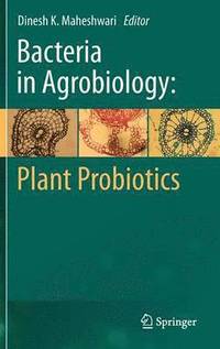 bokomslag Bacteria in Agrobiology: Plant Probiotics