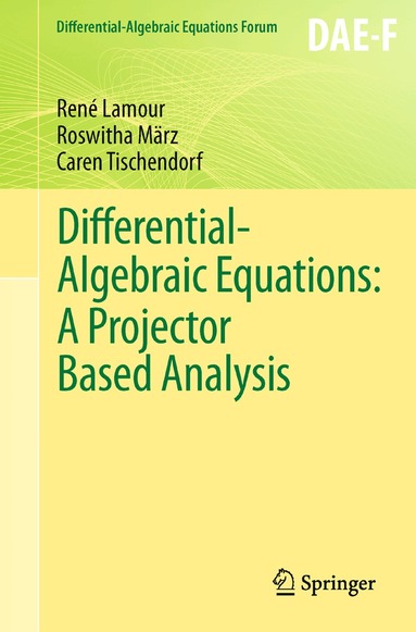 René Lamour, Roswitha März, Caren Tischendorf - Differential-Algebraic Equations: A Projector Based Analysis, Häftad
