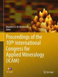 bokomslag Proceedings of the 10th International Congress for Applied Mineralogy (ICAM)
