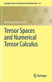 bokomslag Tensor Spaces and Numerical Tensor Calculus