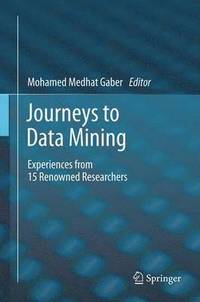 bokomslag Journeys to Data Mining