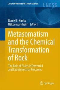 bokomslag Metasomatism and the Chemical Transformation of Rock