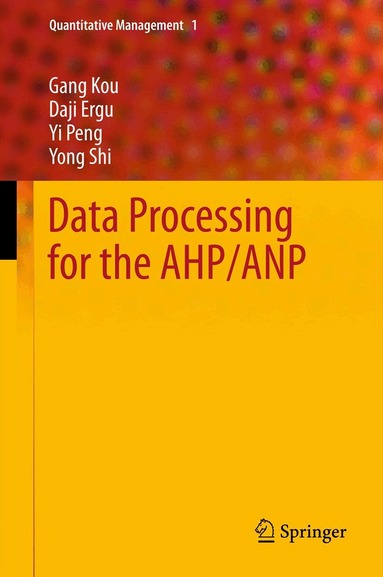 Gang Kou, Daji Ergu, Yi Peng, Yong Shi - Data Processing for the AHP/ANP, Inbunden