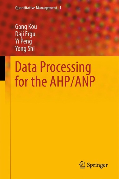 bokomslag Data Processing for the AHP/ANP