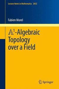 bokomslag A1-Algebraic Topology over a Field