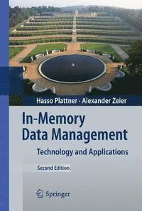 bokomslag In-Memory Data Management