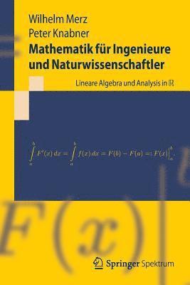 bokomslag Mathematik fr Ingenieure und Naturwissenschaftler