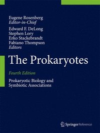 bokomslag The Prokaryotes