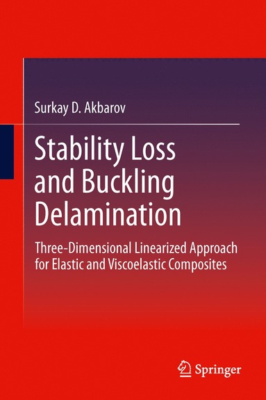 bokomslag Stability Loss and Buckling Delamination