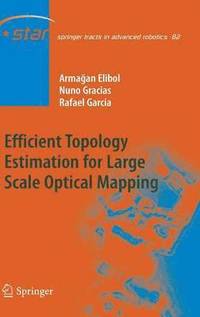 bokomslag Efficient Topology Estimation for Large Scale Optical Mapping