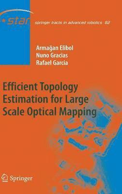 Armagan Elibol, Nuno Gracias, Rafael Garcia - Efficient Topology Estimation for Large Scale Optical Mapping, Inbunden