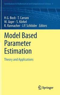 bokomslag Model Based Parameter Estimation