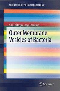 bokomslag Outer Membrane Vesicles of Bacteria