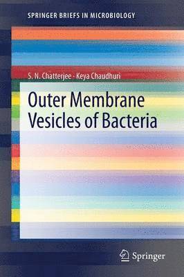 Outer Membrane Vesicles of Bacteria 1