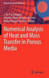 bokomslag Numerical Analysis of Heat and Mass Transfer in Porous Media