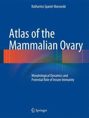 bokomslag Atlas of the Mammalian Ovary