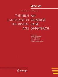 bokomslag Irish Language in the Digital Age