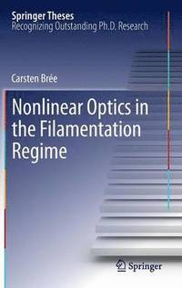 bokomslag Nonlinear Optics in the Filamentation Regime