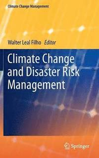 bokomslag Climate Change and Disaster Risk Management