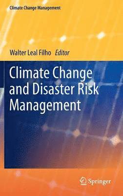 bokomslag Climate Change and Disaster Risk Management