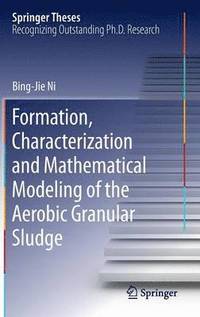 bokomslag Formation, characterization and mathematical modeling of the aerobic granular sludge