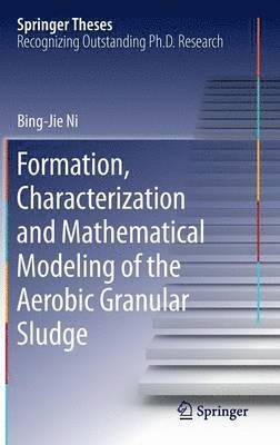 Formation, characterization and mathematical modeling of the aerobic granular sludge