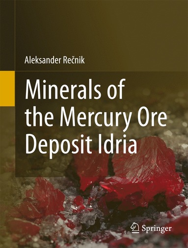 bokomslag Minerals of the mercury ore deposit Idria