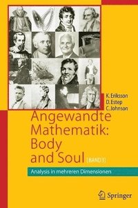 bokomslag Angewandte Mathematik: Body and Soul