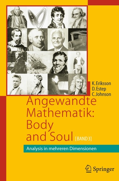 bokomslag Angewandte Mathematik: Body and Soul