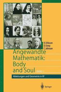 bokomslag Angewandte Mathematik: Body and Soul