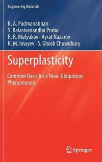 bokomslag Superplasticity