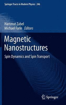Magnetic Nanostructures