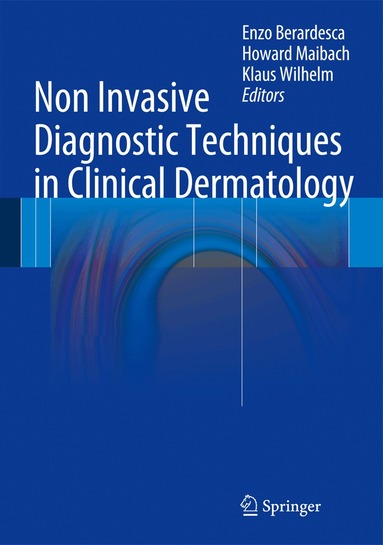 Enzo Berardesca, Howard I. Maibach, Klaus-Peter Wilhelm - Non Invasive Diagnostic Techniques in Clinical Dermatology, Inbunden