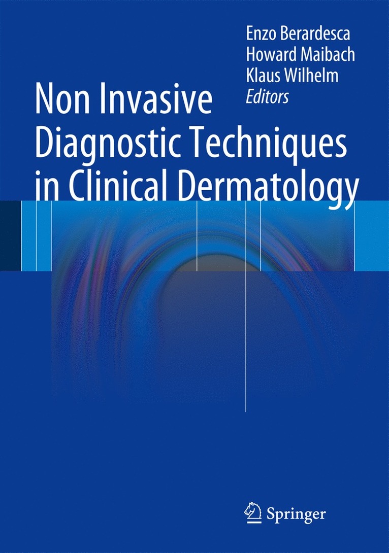 Enzo Berardesca, Howard I. Maibach, Klaus-Peter Wilhelm - Non Invasive Diagnostic Techniques in Clinical Dermatology, Inbunden