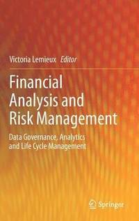 bokomslag Financial Analysis and Risk Management
