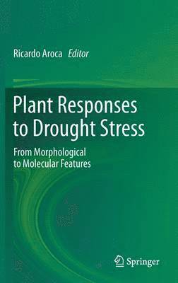 Plant Responses to Drought Stress 1