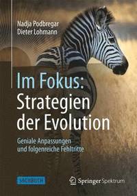 bokomslag Im Fokus: Strategien der Evolution
