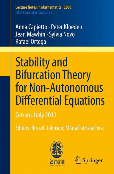 Anna Capietto, Peter Kloeden, Jean Mawhin, Sylvia Novo, Miguel Ortega - Stability and Bifurcation Theory for Non-Autonomous Differential Equations, Häftad