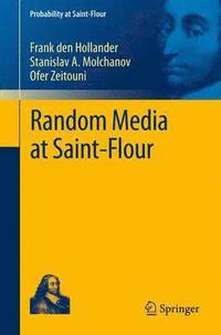 bokomslag Random Media at Saint-Flour