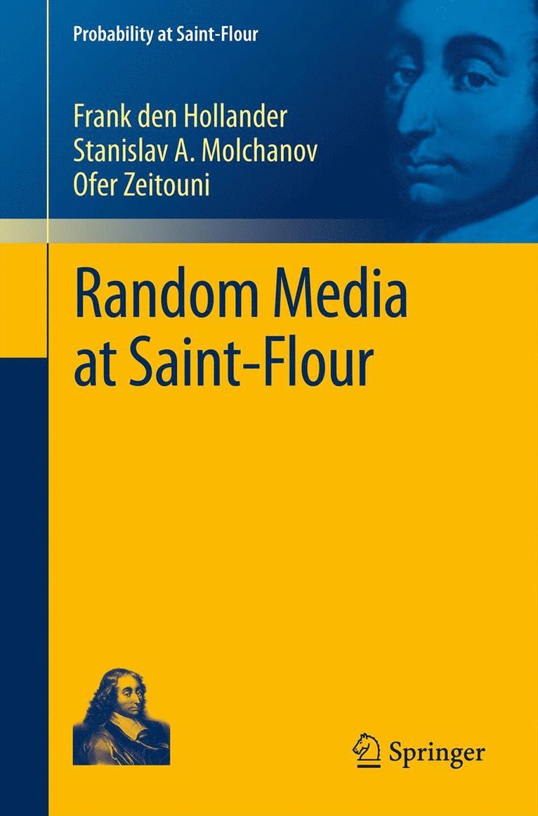 Frank den Hollander, Stanislav A. Molchanov, Ofer Zeitouni, Frank Den Hollander - Random Media at Saint-Flour, Häftad