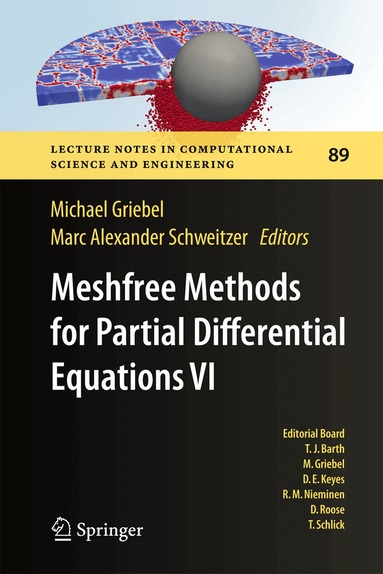 Michael Griebel, Marc Alexander Schweitzer - Meshfree Methods for Partial Differential Equations VI, Inbunden