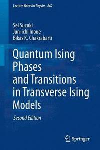 bokomslag Quantum Ising Phases and Transitions in Transverse Ising Models