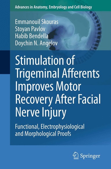 Emmanouil Skouras, Stoyan Pavlov, Habib Bendella, Doychin N. Angelov - Stimulation of Trigeminal Afferents Improves Motor Recovery After Facial Nerve Injury, Häftad