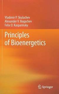 bokomslag Principles of Bioenergetics