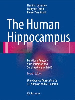 bokomslag The Human Hippocampus