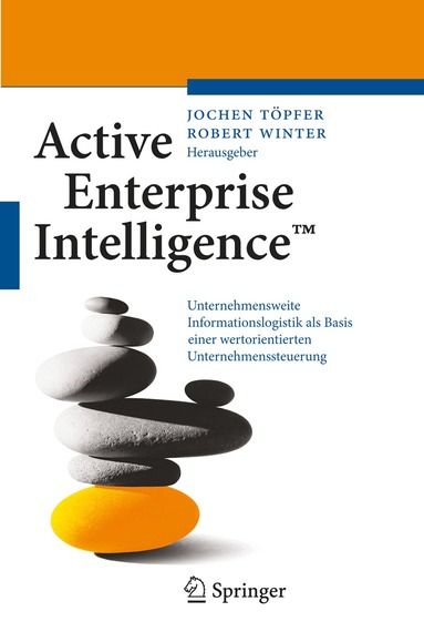 Jochen Töpfer, Robert Winter - Active Enterprise Intelligence™, Häftad