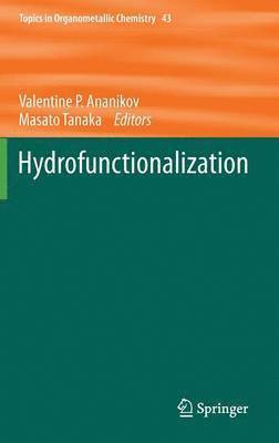 bokomslag Hydrofunctionalization